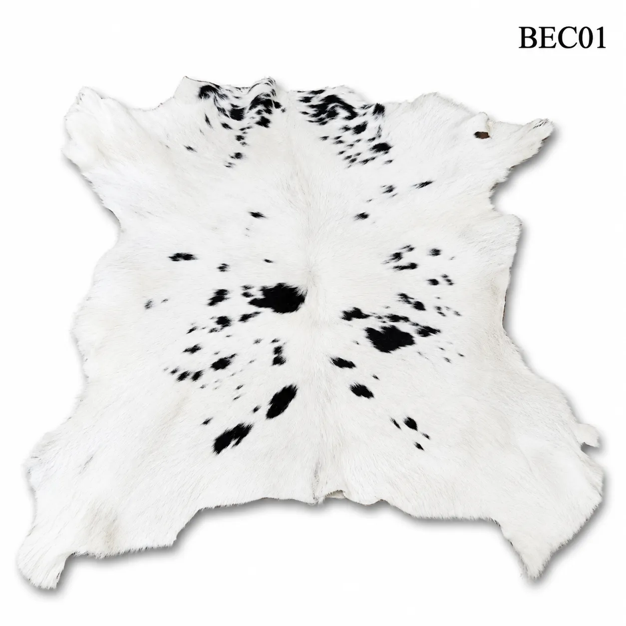 BEC01