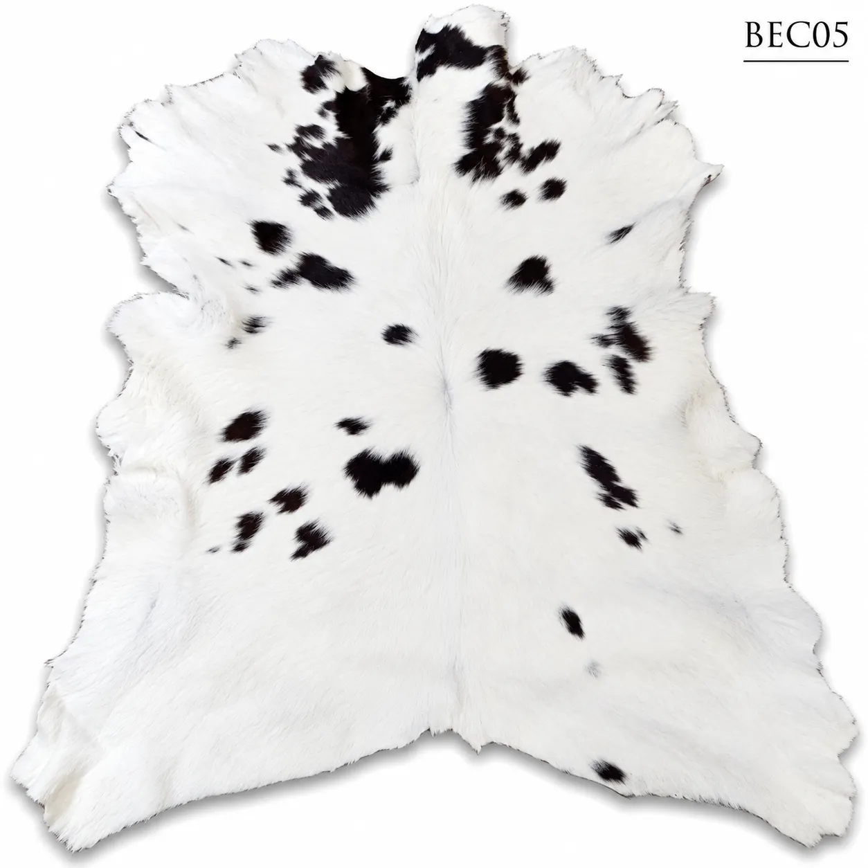 BEC05
