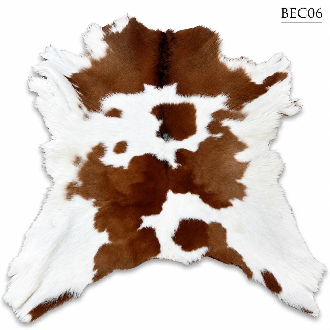 BEC06