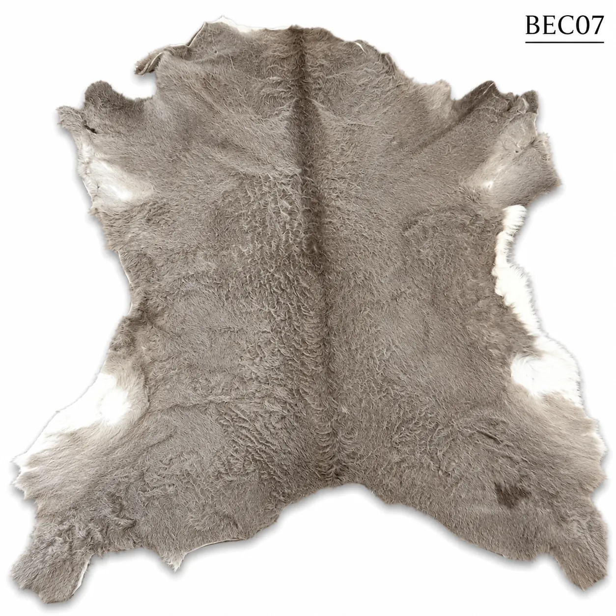 BEC07