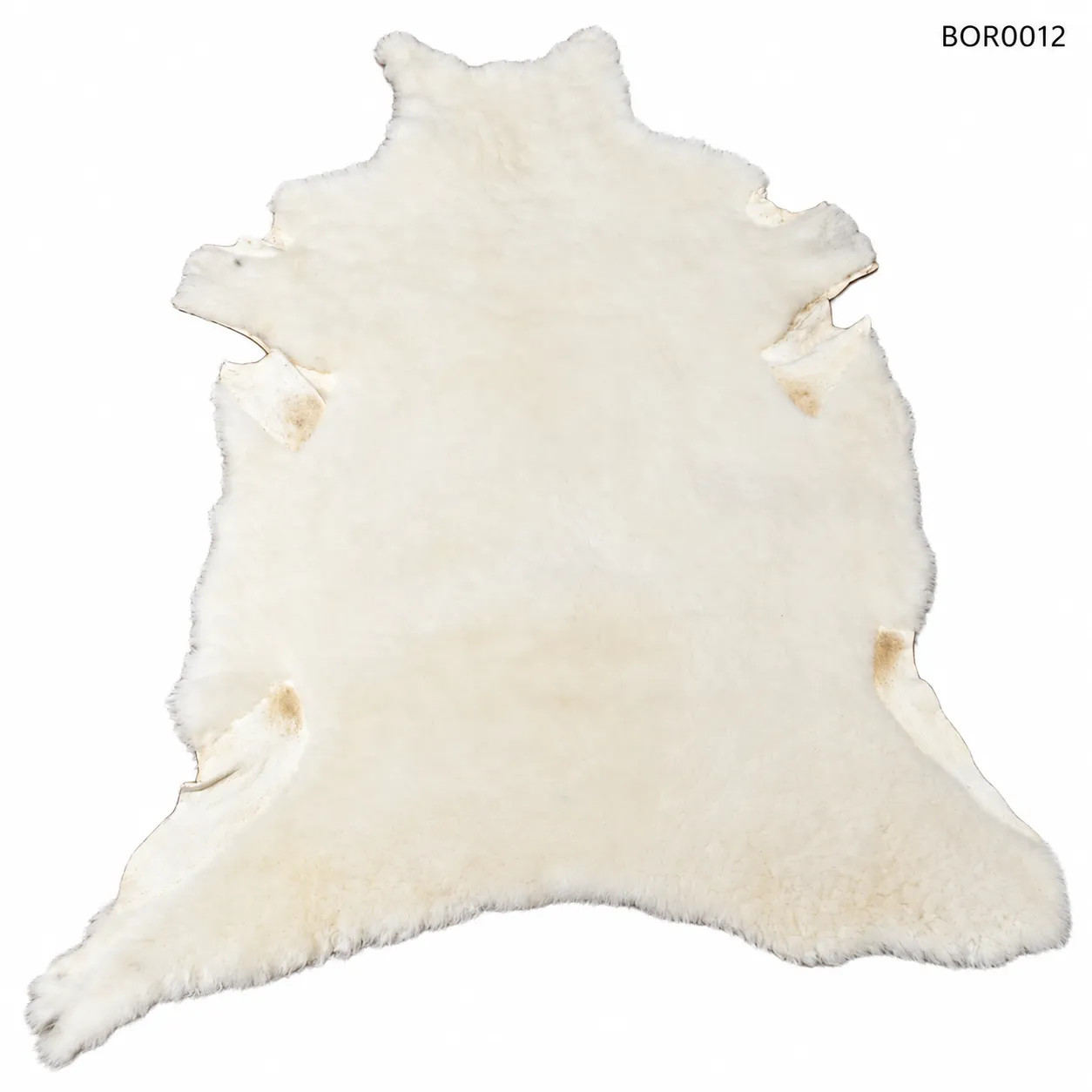 BOR0012