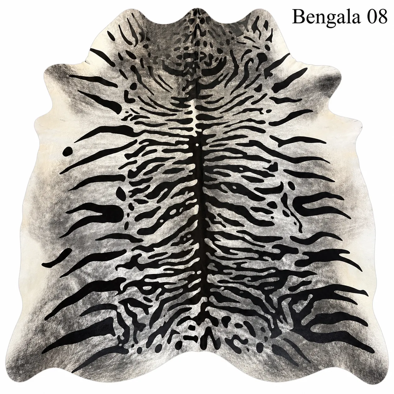Bengala08