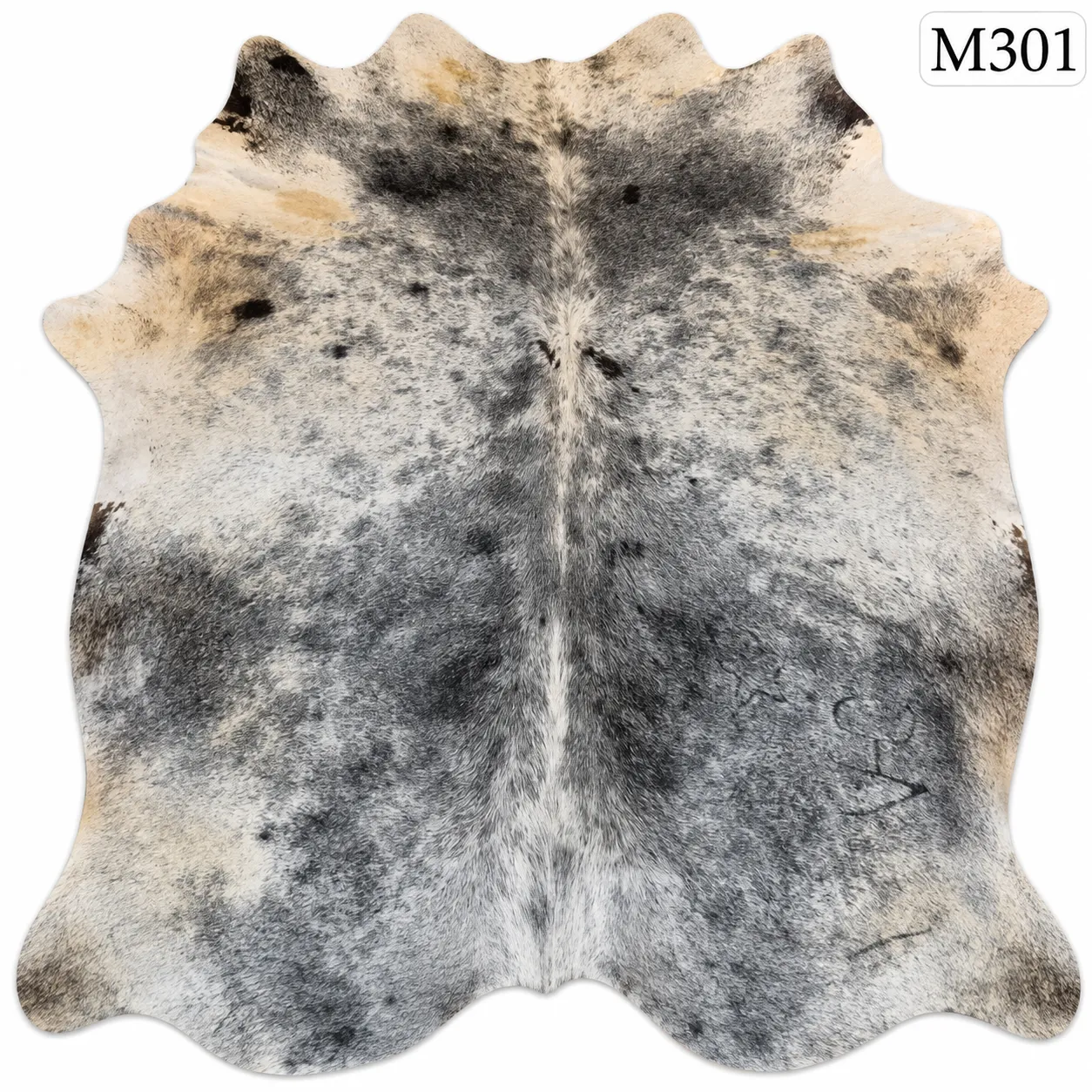 M301