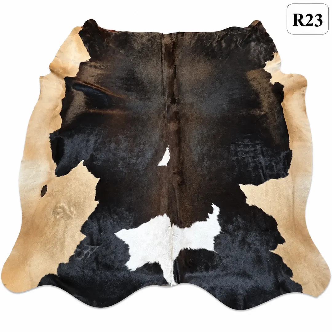 R23