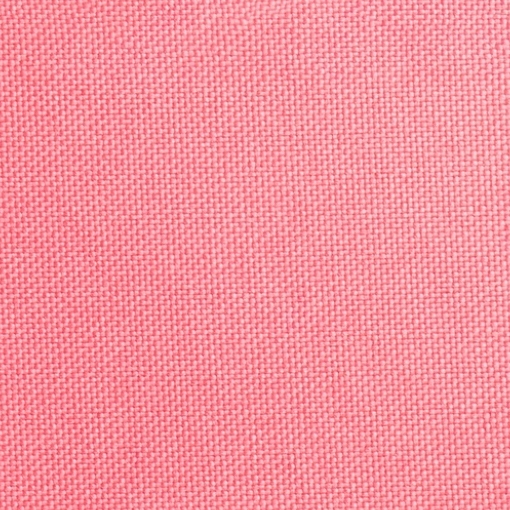 Curry Coral